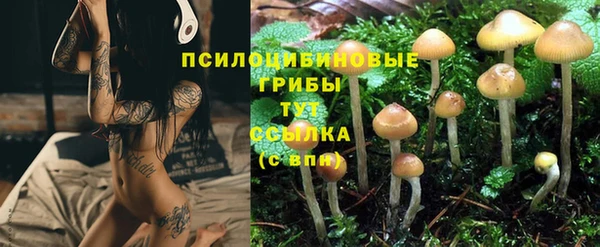 МДПВ Рославль