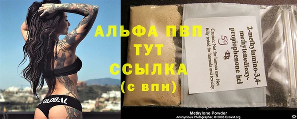 МДПВ Рославль