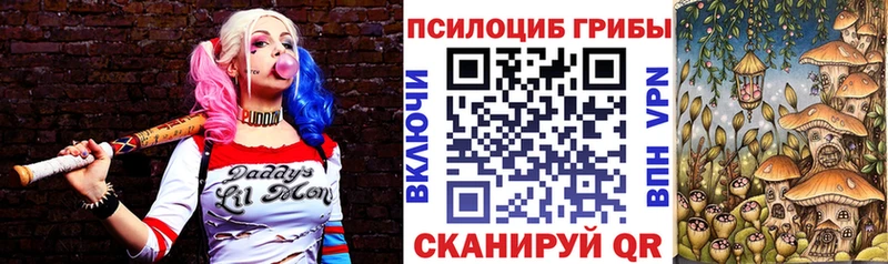 Галлюциногенные грибы Psilocybe  Циолковский 